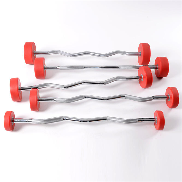 Customized cast iron PU dumbbell price